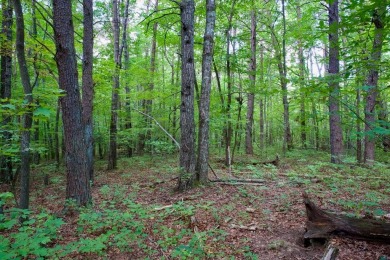 Lake Acreage For Sale in Spencer, Tennessee