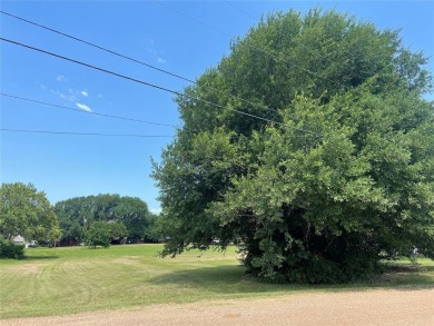 Lake Lot For Sale in Trinidad, Texas