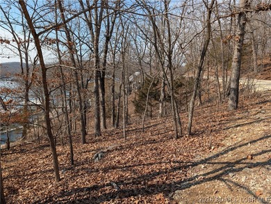 LAKE OF THE OZARKS - A very short walk to Paradise. Awesome - photo 11