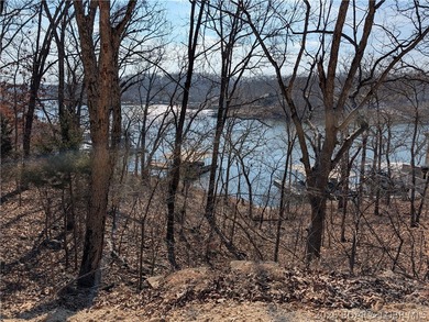 LAKE OF THE OZARKS - A very short walk to Paradise. Awesome - photo 12