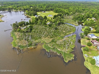 Waterfront privacy on nearly 8 acres with view of Blount's Creek - photo 12