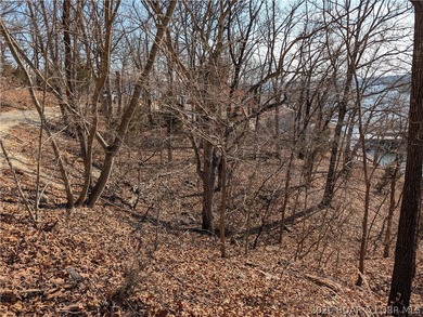LAKE OF THE OZARKS - A very short walk to Paradise. Awesome - photo 13