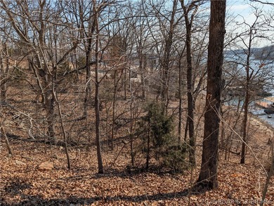 LAKE OF THE OZARKS - A very short walk to Paradise. Awesome - photo 14