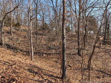 LAKE OF THE OZARKS - A very short walk to Paradise. Awesome - photo 17