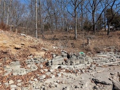 LAKE OF THE OZARKS - A very short walk to Paradise. Awesome - photo 21