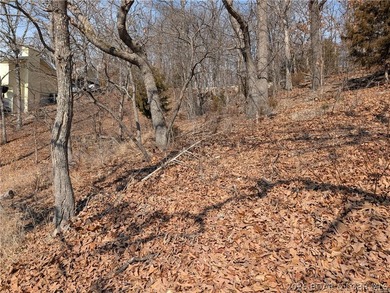 LAKE OF THE OZARKS - A very short walk to Paradise. Awesome - photo 25