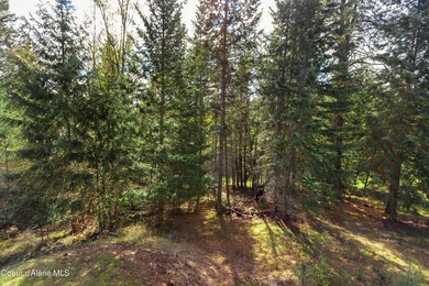 If you've been looking for that perfect North Idaho spot with - photo 36