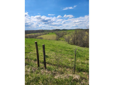 (private lake, pond, creek) Acreage For Sale in Brooksville Kentucky