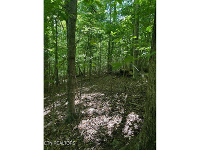 Want to own a home by the lake without breaking the bank? This - photo 5