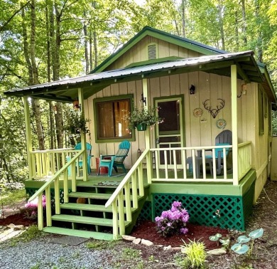 Lake Home For Sale in Bryson City, North Carolina