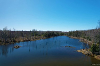 (private lake, pond, creek) Acreage For Sale in White Pine Michigan