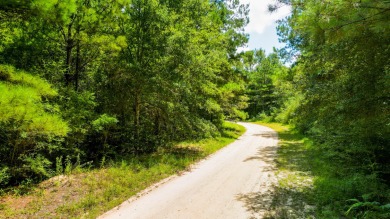 Lake Lot For Sale in Lumberton, Mississippi