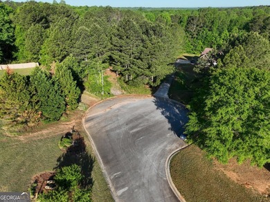 Take a look at this Beautiful wooded 4.42 acre cul-de-sac lot on - photo 4