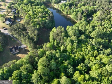 Take a look at this Beautiful wooded 4.42 acre cul-de-sac lot on - photo 6