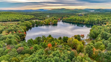 Lake Acreage For Sale in Newfield, Maine