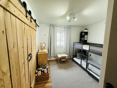 Welcome to 315 Pam Drive, Berrien Springs, MI! This fully - photo 21