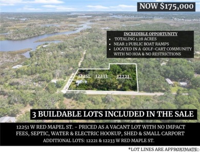 Homosassa River Home For Sale in Homosassa Florida