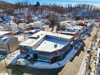 Lake Commercial For Sale in Millvale, Pennsylvania