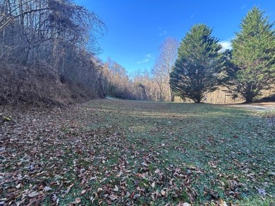 Lake Acreage For Sale in Robbinsville (Graham), North Carolina