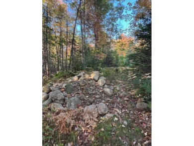 (private lake, pond, creek) Lot For Sale in Bethel Maine