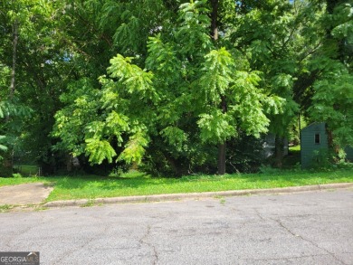 (private lake, pond, creek) Lot For Sale in Atlanta Georgia