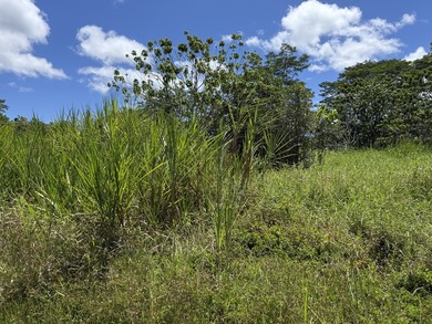 Great Location for this 8.75 Acres of raw land close to the - photo 14
