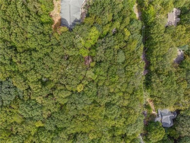 Lake Lot For Sale in Jasper, Georgia