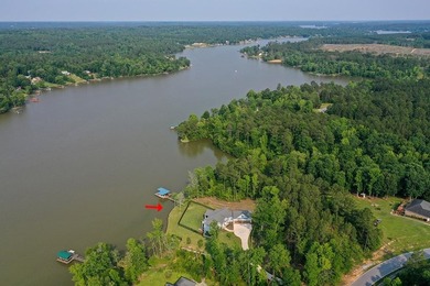 Positioned on a spectacular 2.4 acre lot with 267-foot lakefront - photo 5