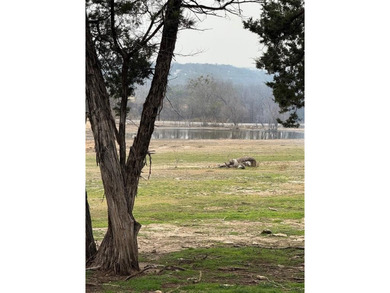Lake Granbury Acreage For Sale in Granbury Texas