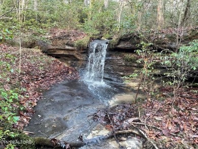 Lake Acreage For Sale in Monterey, Tennessee