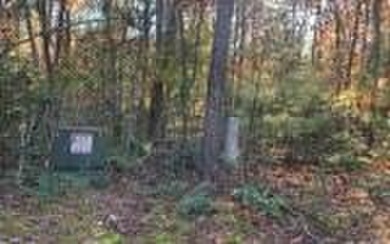 (private lake, pond, coastal) Lot For Sale in Warne North Carolina