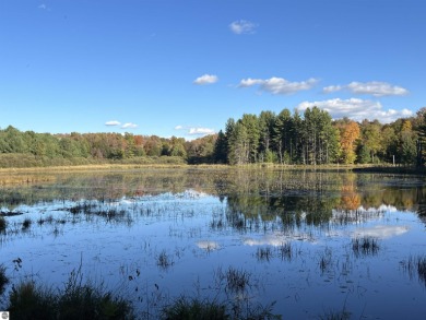 Lake Acreage For Sale in Reed City, Michigan