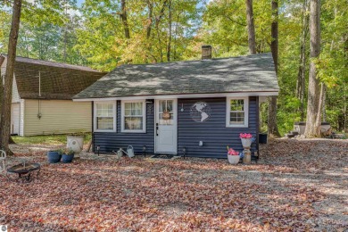 Lake Home For Sale in Hale, Michigan