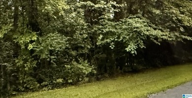 Lake Lot For Sale in Childersburg, Alabama