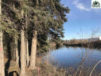 Chena River Lot For Sale in Fairbanks Alaska