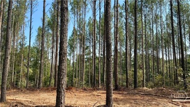 Lake Acreage For Sale in Comer, Georgia