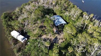 Private Island Offering---Boat Access Only! This is a rare - photo 11