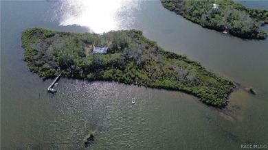 Private Island Offering---Boat Access Only! This is a rare - photo 15