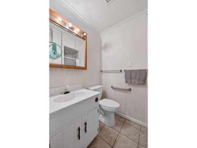 Opportunity awaits at 48 N. Badalona Drive! This brick walkout - photo 20