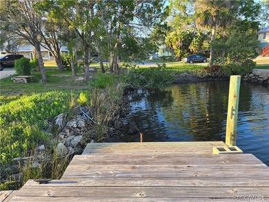Private Island Offering---Boat Access Only! This is a rare - photo 21