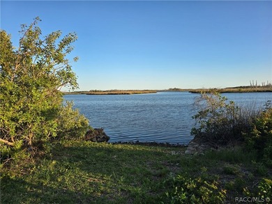 Private Island Offering---Boat Access Only! This is a rare - photo 23