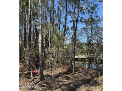!!!!Lot on the water!! On Main Hwy!!!! This wooded lot can be - photo 1