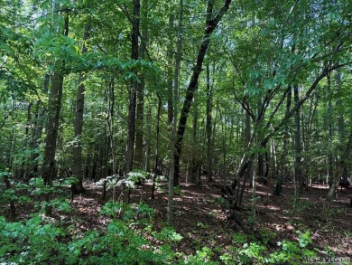 Lake Lot For Sale in Macon, North Carolina