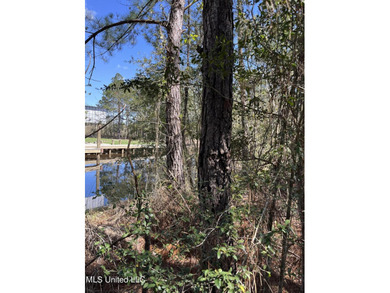 !!!!Lot on the water!! On Main Hwy!!!! This wooded lot can be - photo 2