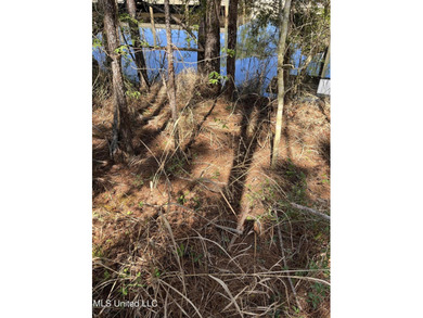 !!!!Lot on the water!! On Main Hwy!!!! This wooded lot can be - photo 3