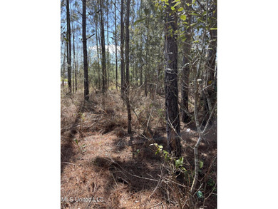!!!!Lot on the water!! On Main Hwy!!!! This wooded lot can be - photo 4