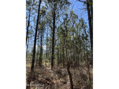 !!!!Lot on the water!! On Main Hwy!!!! This wooded lot can be - photo 5