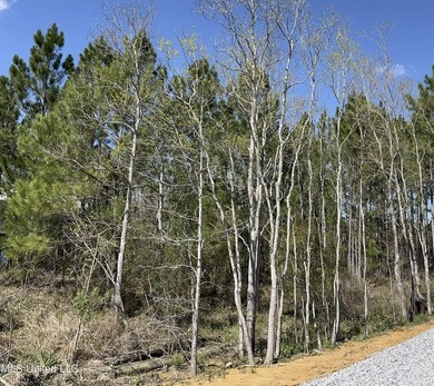 !!!!Lot on the water!! On Main Hwy!!!! This wooded lot can be - photo 7