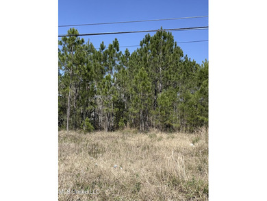 !!!!Lot on the water!! On Main Hwy!!!! This wooded lot can be - photo 8