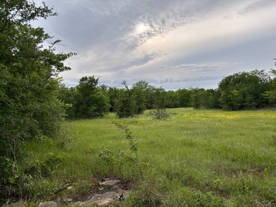 26.5 Acres - Hunting, Livestock, or Build Site If you've been - photo 1